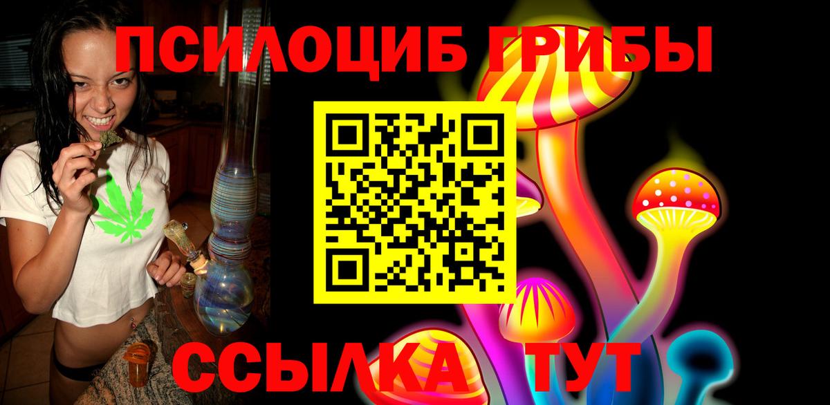 Галлюциногенные грибы Psilocybe Татарск