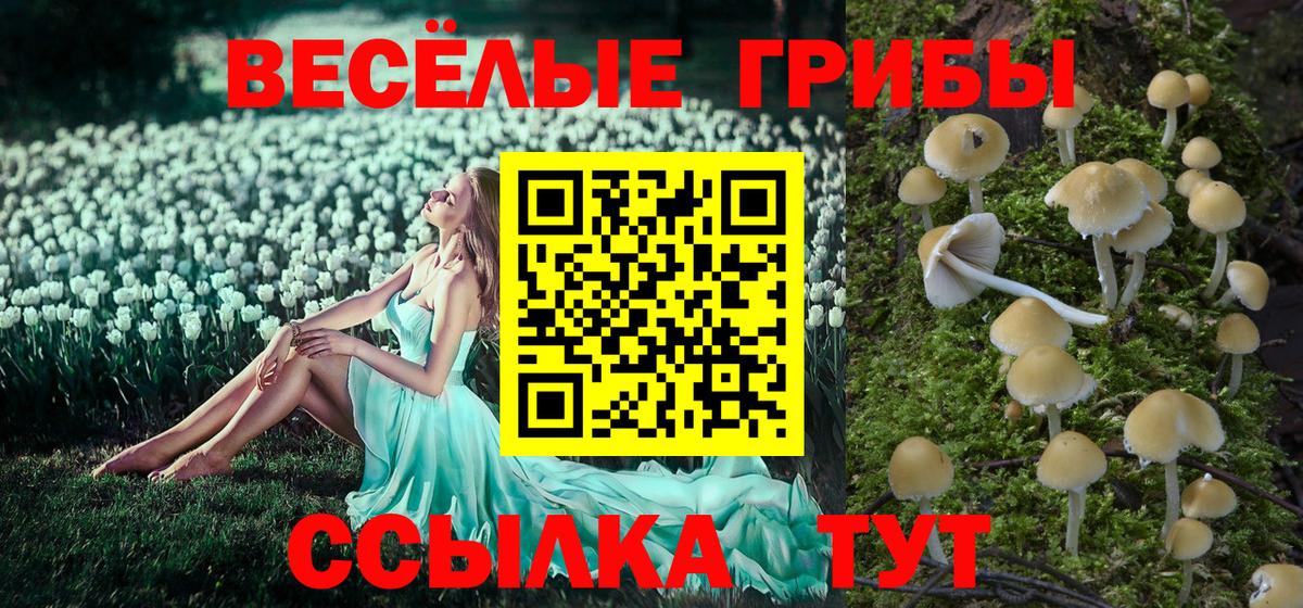 Псилоцибиновые грибы мухоморы  где купить   Татарск  Вход с VPN 